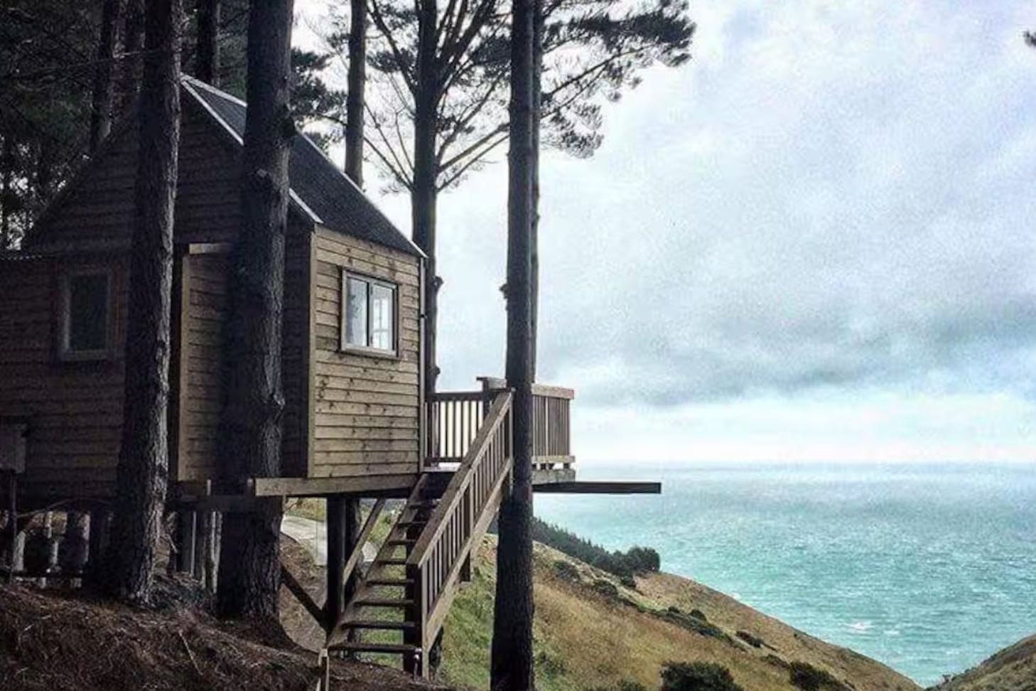 The Treehouse in the Woods romantic Airbnb overlooking the sea in New Zealand
